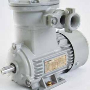 Siemens 1MB0061 series