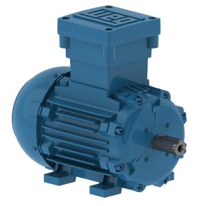 WEG - W21Xdb - Flameproof Ex db