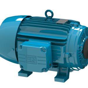 WEG Cooling Tower Motor