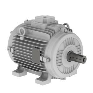 WEG W21 Fan & Exhaust Motor
