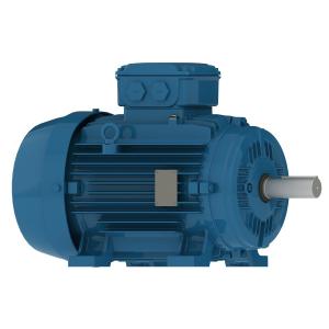 WEG-W21 Xe safety motor