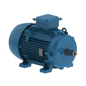 Weg General Purpose Motors W20