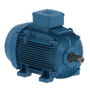 Weg General Purpose Motors W21