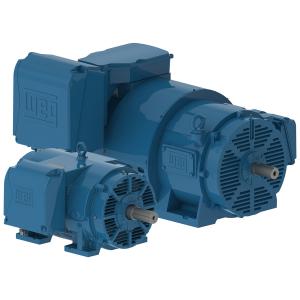 Weg General Purpose Motors W40 